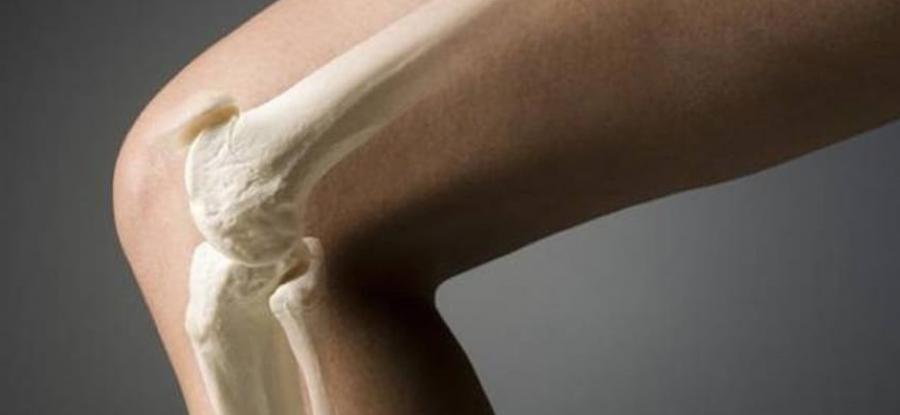 Knee Replacement Exercises